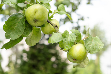 Similar image 21879448