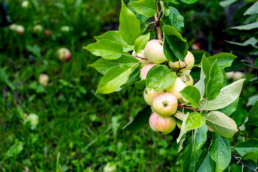 Similar image 21879450