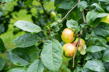 Similar image 21879451