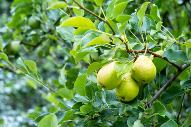 Similar image 21879453