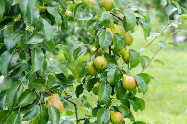 Similar image 21879455