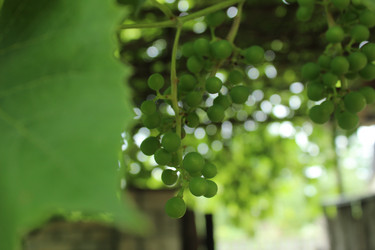 Similar image 21879755