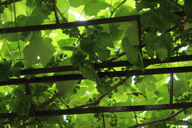 Similar image 21879756