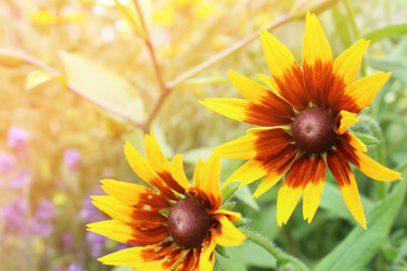 Similar image 21879760