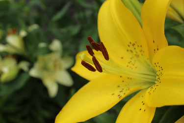 Similar image 21879761