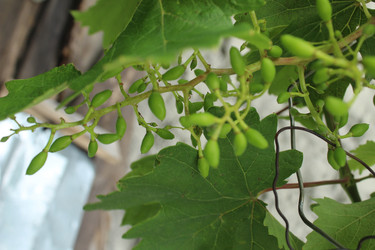 Similar image 21879762