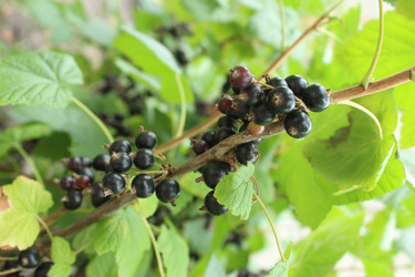 Similar image 21879763