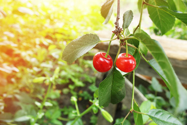 Similar image 21879766