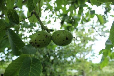 Similar image 21879767