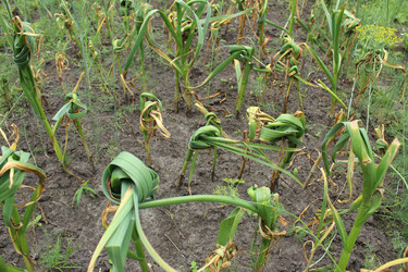 Similar image 21879769