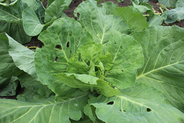 Similar image 21879770