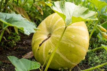 Similar image 21882130