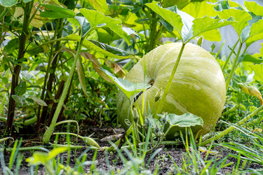 Similar image 21882132