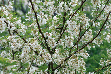 Similar image 21879698