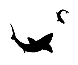 Similar image 21879771