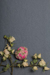 Similar image 21879779