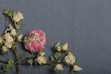 Similar image 21879780