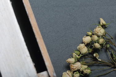 Similar image 21879783