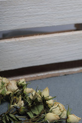 Similar image 21879784