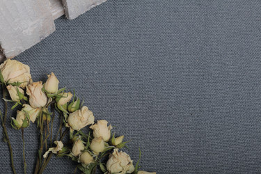 Similar image 21879788