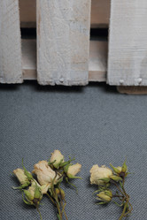 Similar image 21879789