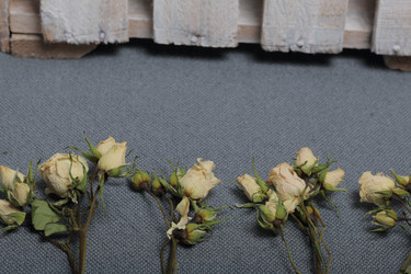 Similar image 21879790