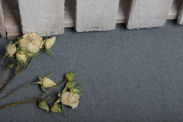 Similar image 21879793