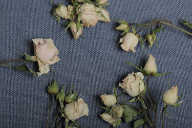 Similar image 21879794