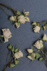 Similar image 21879795