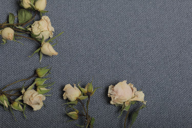 Similar image 21879796