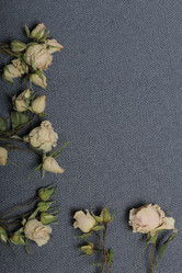 Similar image 21879797