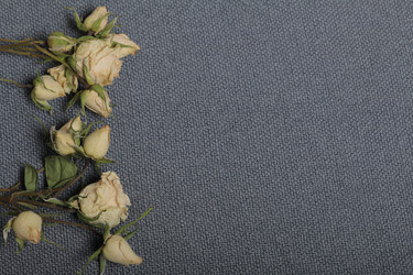 Similar image 21879799