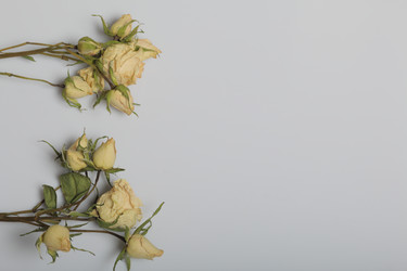 Similar image 21879800