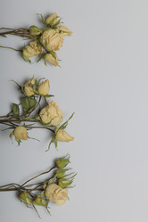 Similar image 21879802