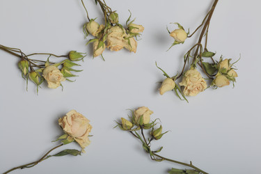 Similar image 21879803