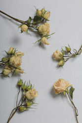 Similar image 21879804