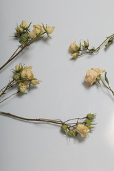 Similar image 21879806