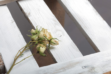 Similar image 21879807