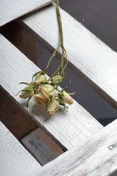 Similar image 21879808