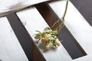 Similar image 21879809