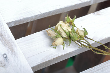 Similar image 21879810