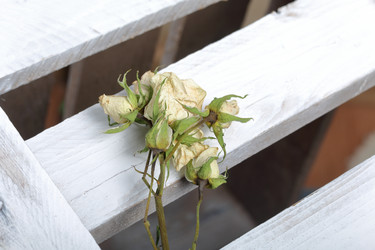 Similar image 21879811