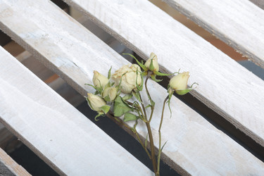 Similar image 21879812