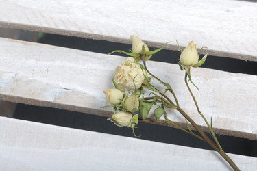 Similar image 21879813