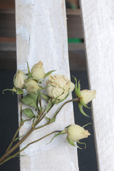 Similar image 21879814