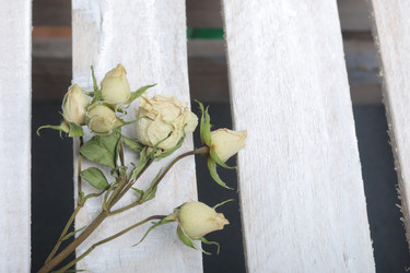 Similar image 21879815