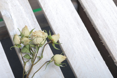 Similar image 21879816