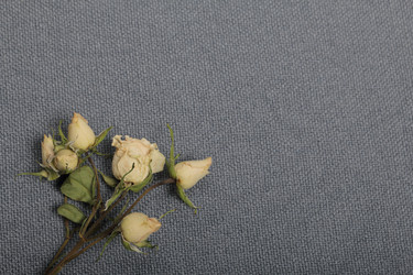 Similar image 21879817