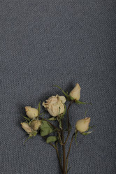 Similar image 21879818