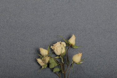 Similar image 21879819